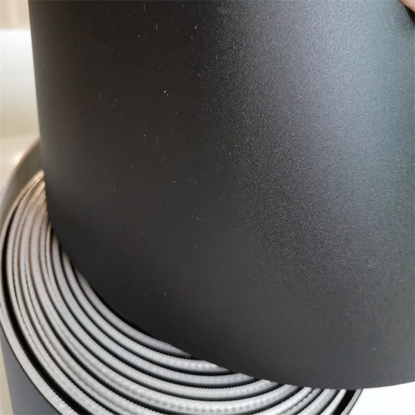 西格林物流帶木工行業輸送帶物流伸縮機木工行業后期加工（進料、貼面、層壓）(圖3)